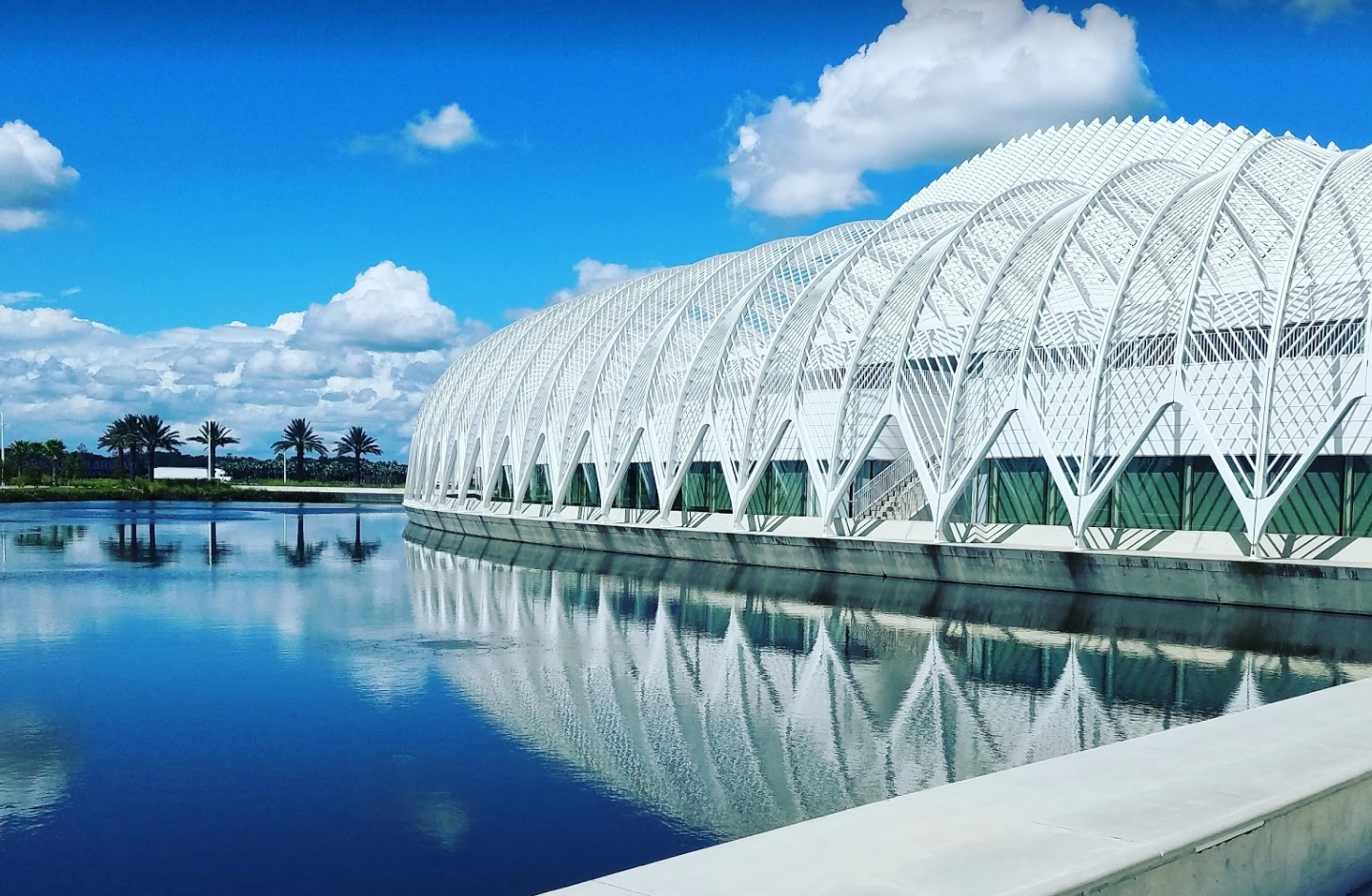 Florida polytechnic university 1 {{brizy_dc_image_alt imageSrc=